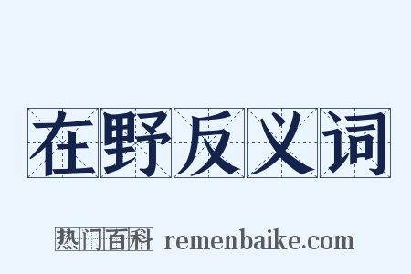 在野反义词是什么意思的图片